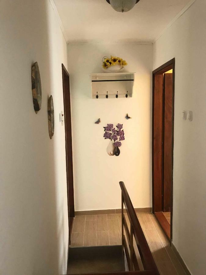 Apartma Evi Zaga Exterior foto